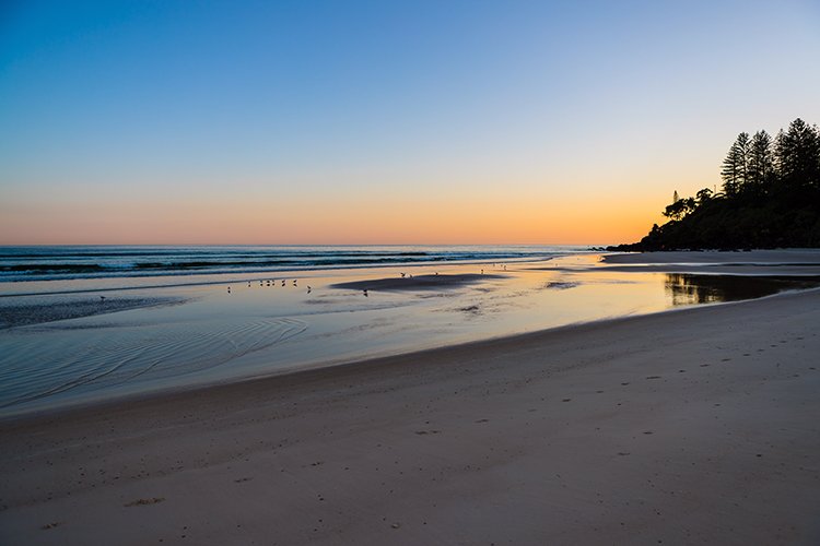AUST QLD Coolangatta 2016OCT07 Beach 011